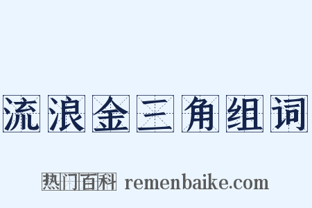 流浪金三角组词是什么意思的图片